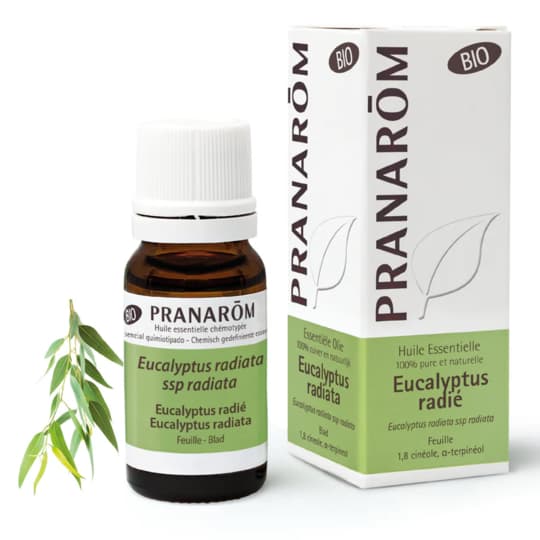 Pranarom hect bio eucalyptus radie feuille 10ml — Pharmacie de Paris - Porte de Champerret
