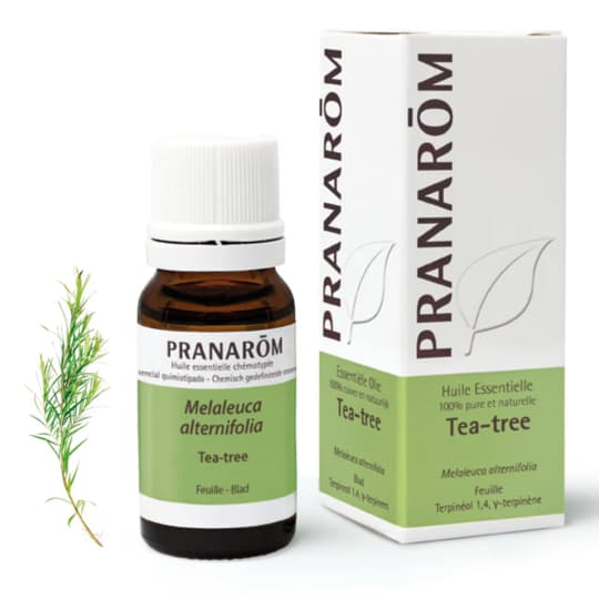 Pranarôm huile essentielle tea-tree - 10 ml — Pharmacie du Métro - Antony