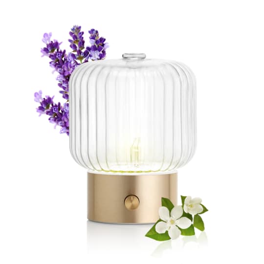 DIFFUS PURESSENTIEL NEBUL VERA — Grande Pharmacie des Halles Pharma