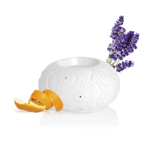 DIFFUS PURESSENTIEL CALVI — Pharmacie Pessac Arago