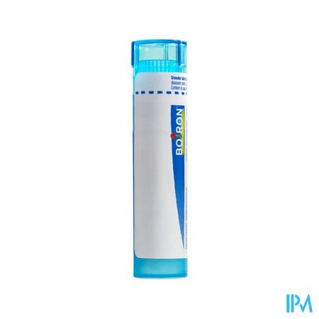 Boiron Ambra Grisea 9ch Granules 4g