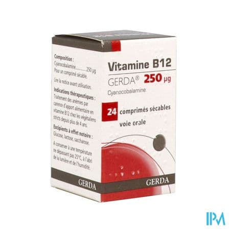 Vitamine B12 Gerda 250mcg Comprime Secable 24