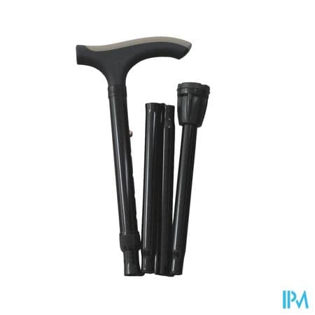HERDEG CANNE T PLI ADV GRIS 250611 — Pharmacie saint-Gilles Paris