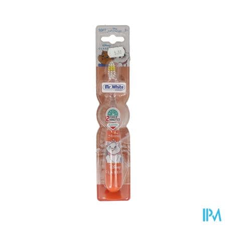 Enfant Licence Brosse A Dents Clignotante Les Aristochats