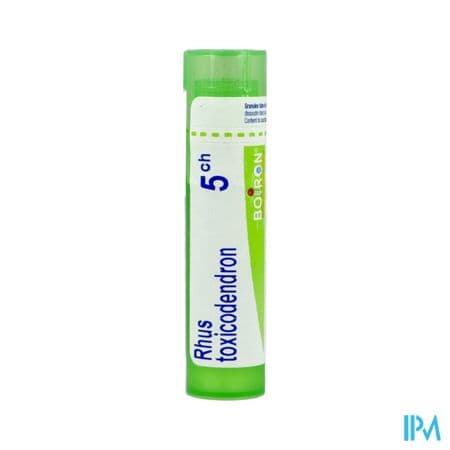 RHUS TOX. 5CH TG B