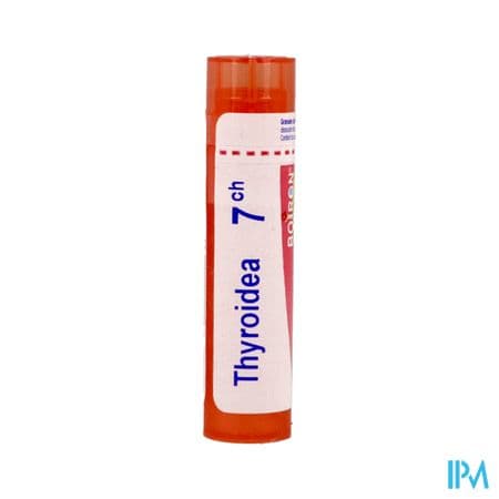 Boiron Thyroid(inum.ea) 7ch Granules 4g — Pharmacie Pharmavance Pierre Fontaine