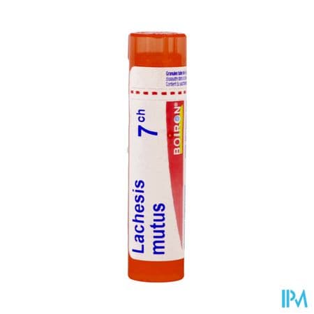 LACHESIS MUTUS 7CH TG B — Pharmacie de la Gare - Rouen