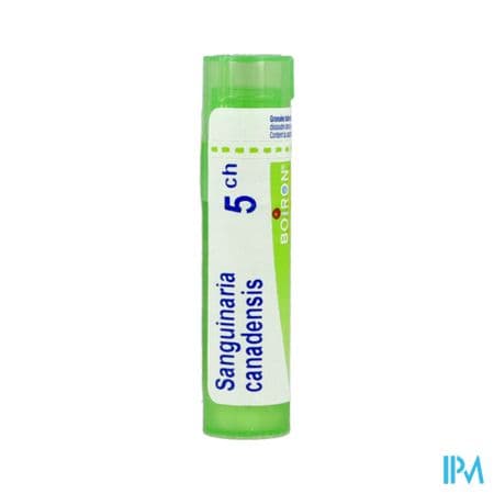 SANGUINARIA CAN. 5CH TG B — Pharmacie Carnot