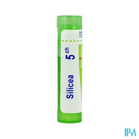 Boiron Silicea 5ch Granules 4g — Pharmacie Roquette Arles by Nexum