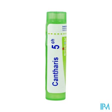 CANTHARIS 5CH TG B