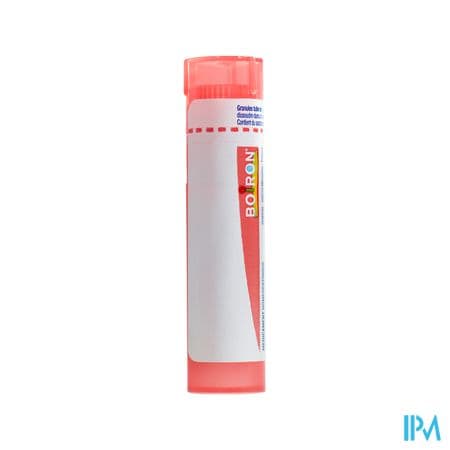 NUX VOMICA 7CH TG B — Aprium Pharmacie des Colonnes - M'Sika