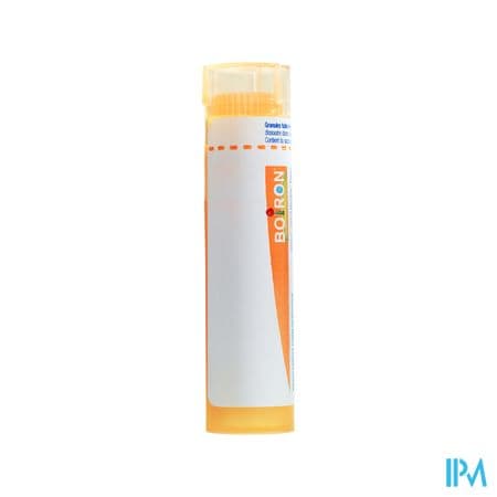 IGNATIA AMARA 15CH TG B