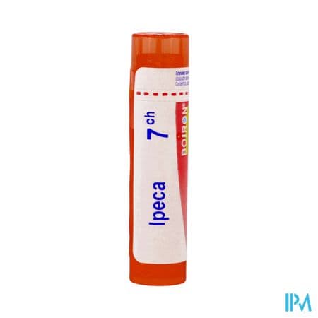 IPECA 7CH TG B