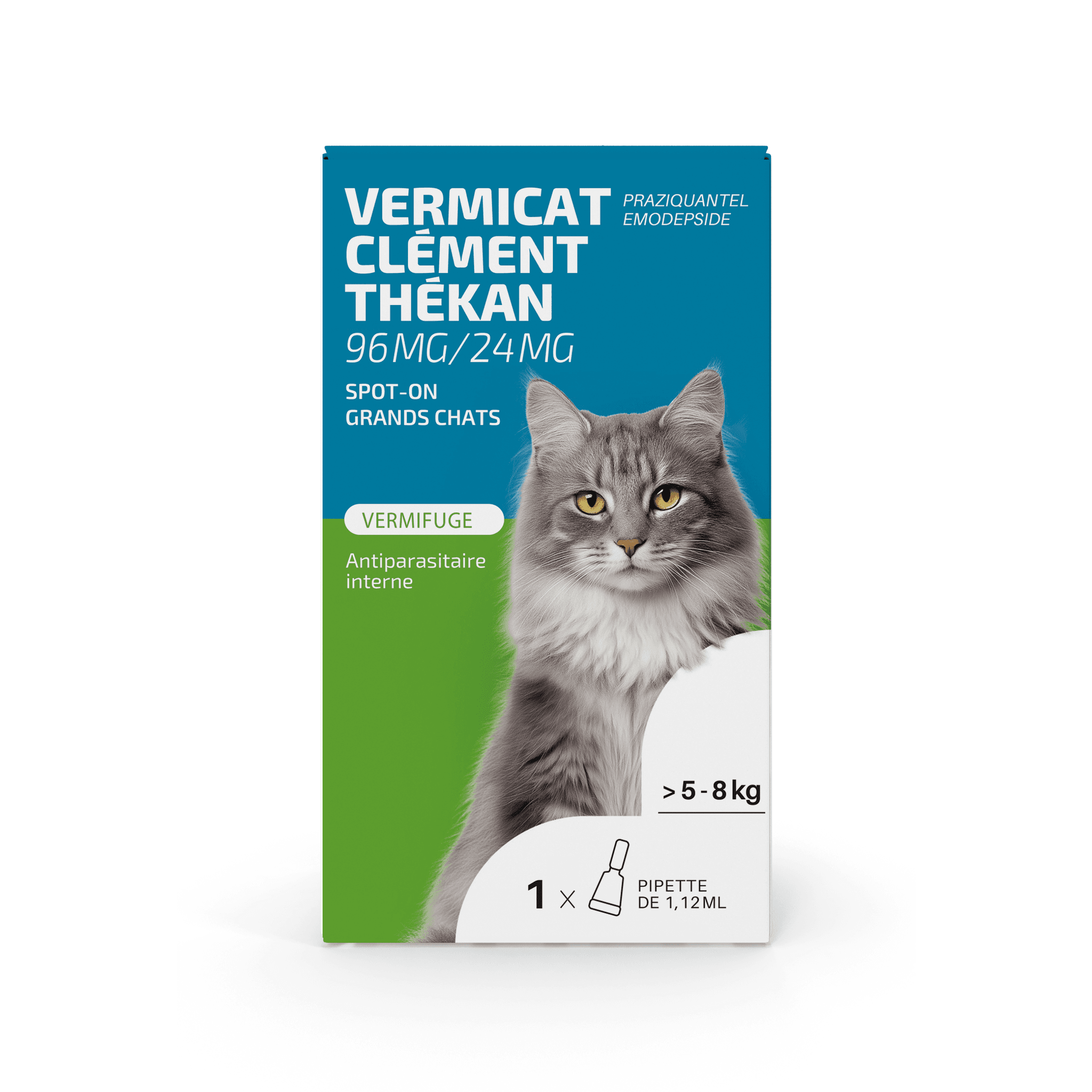 CLEM THEK PRAZIQ CHAT GRAND PIP 1 — Pharmacie Rocade by Nexum