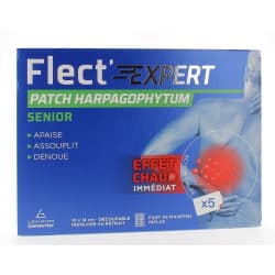 FLECT'EXPERT PATCH HARPAGO BTE5 — Pharmacie Pharmagreen Boucicaut