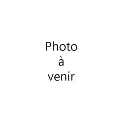 Boiron Barytine 8dh Ampoule Buvable 30 — Pharmacie Royale - Saint-Cloud